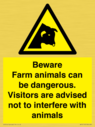 beware-farm-animals-can-be-dangerous-visitors-are-advised-not-to-interfere-with-~